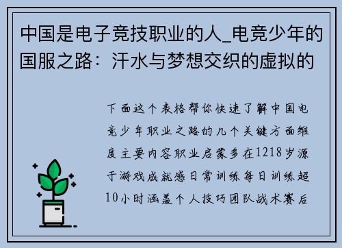 中国是电子竞技职业的人_电竞少年的国服之路：汗水与梦想交织的虚拟的虚拟战场